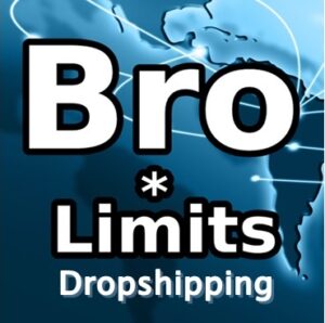 Brolimits Logo – Dropshipping Shop selbst erstellen mit Videoanleitung
